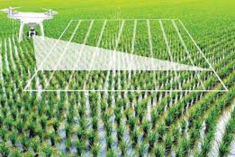 new-technology-in-agriculture-sector