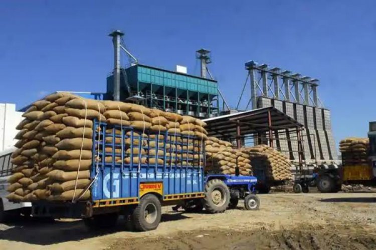 India Agriculture Exports Touch A Historic High Of Usd 50 Billion ...