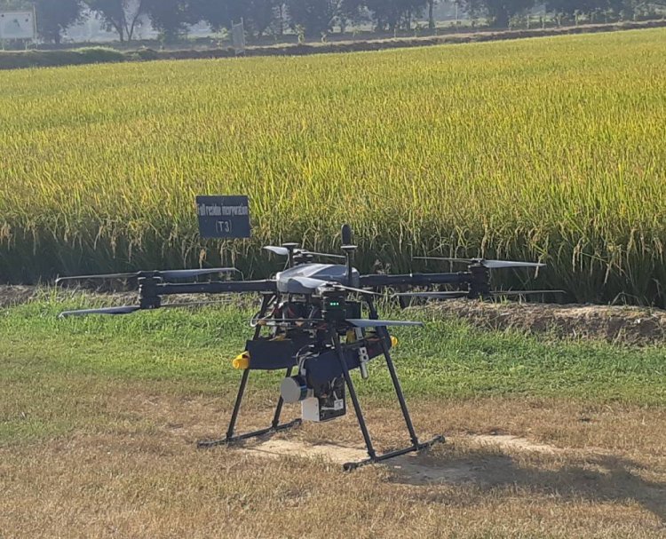 women self help groups will get subsidy of rs 8 lakh for agri drones from  central government | एग्री ड्रोन के लिए महिला स्वयं सहायता समूहों को मिलेगी  8 लाख रुपये तक