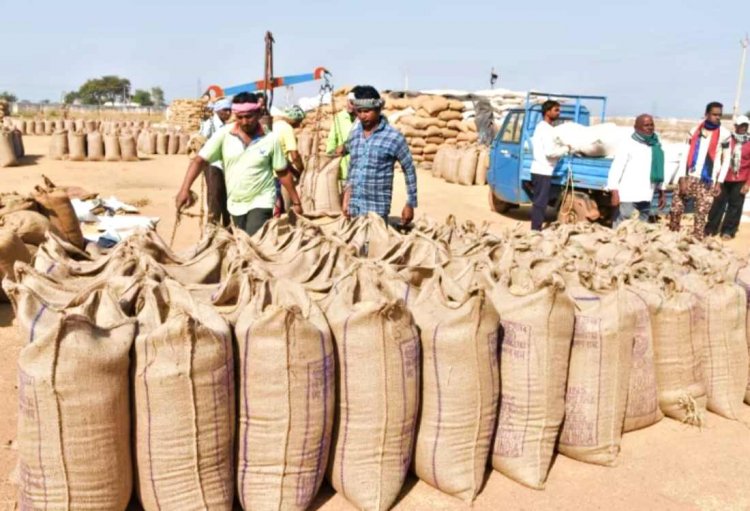 paddy procurement target of 160 lakh tonnes in chhattisgarh purchase rate  set at 21 quintals per acre | छत्तीसगढ़ में 160 लाख टन धान खरीद का लक्ष्य,  21 क्विंटल प्रति एकड़ की