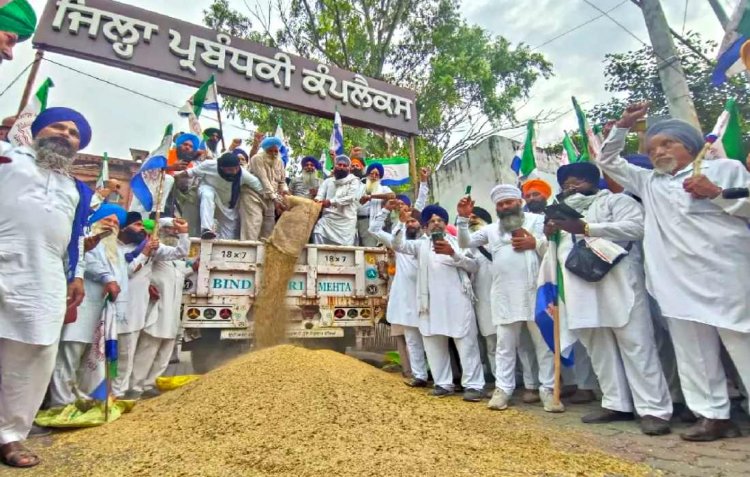 sanyukt kisan morcha to hold chakka jam on october 13 over over slow paddy  procurement in punjab | पंजाब में धान की धीमी खरीद को लेकर 13 अक्टूबर को  एसकेएम करेगा चक्का